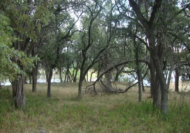 Land for sale at 6703 Bar K Ranch Rd, Lago Vista, TX 78645 | MLS# 2729801