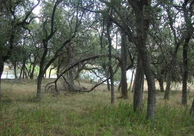 Photo 3 of Land for sale at 6703 Bar K Ranch Rd, Lago Vista, TX 78645 | MLS# 2729801 | Listing updated on 2026-09-22