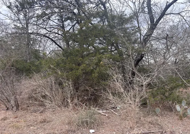 Land for sale at Tbd Pearson Rd, Cedar Creek, TX 78616 | MLS# 5931635