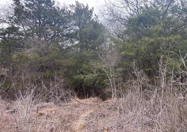 Photo 1 of Land for sale at Tbd Pearson Rd, Cedar Creek, TX 78616 | MLS# 5931635 | Listing updated on 2026-09-13