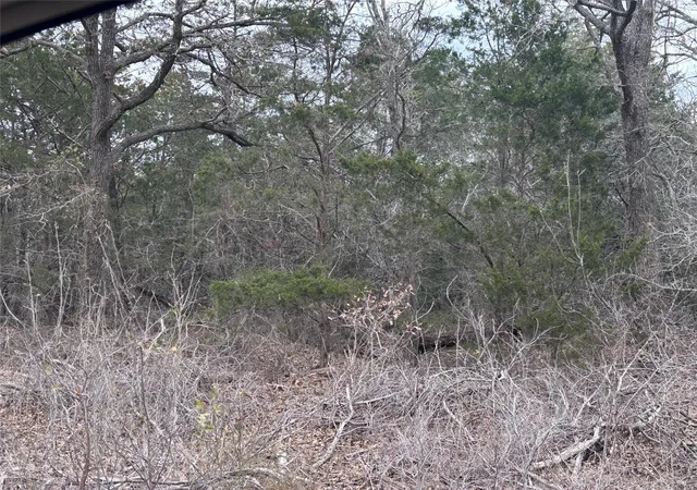 Photo 2 of Land for sale at Tbd Pearson Rd, Cedar Creek, TX 78616 | MLS# 5931635 | Listing updated on 2026-09-13