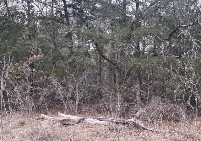 Photo 3 of Land for sale at Tbd Pearson Rd, Cedar Creek, TX 78616 | MLS# 5931635 | Listing updated on 2026-09-13