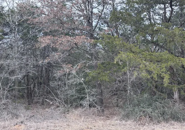 Photo 4 of Land for sale at Tbd Pearson Rd, Cedar Creek, TX 78616 | MLS# 5931635 | Listing updated on 2026-09-13
