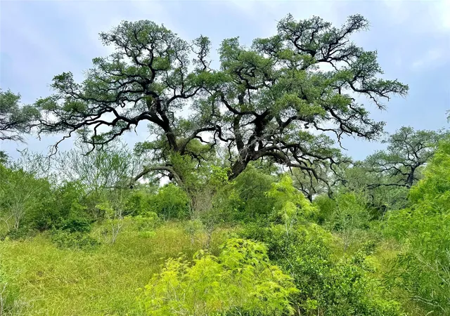 Photo 1 of Land for sale at Tbd Tract Q Fm 108, Smiley, TX 78159 | MLS# 1048796 | Listing updated on 2026-09-27