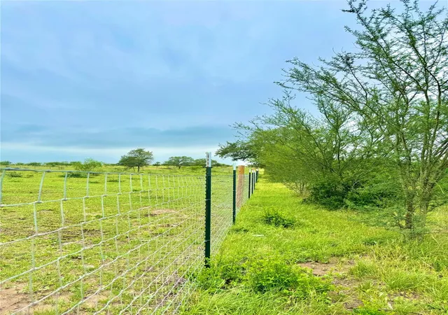 Photo 3 of Land for sale at Tbd Tract Q Fm 108, Smiley, TX 78159 | MLS# 1048796 | Listing updated on 2026-09-27