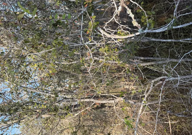 Land for sale at 156 And 160 Helemano Dr, Bastrop, TX 78602 | MLS# 3164426