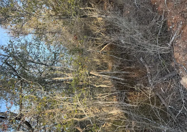 Photo 2 of Land for sale at 156 And 160 Helemano Dr, Bastrop, TX 78602 | MLS# 3164426 | Listing updated on 2026-09-18