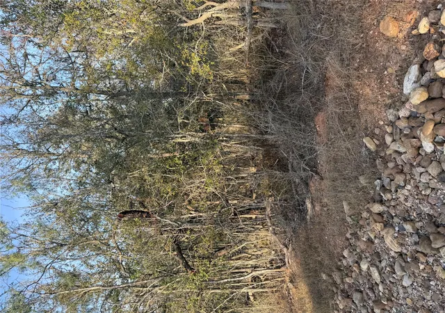 Photo 3 of Land for sale at 156 And 160 Helemano Dr, Bastrop, TX 78602 | MLS# 3164426 | Listing updated on 2026-09-18