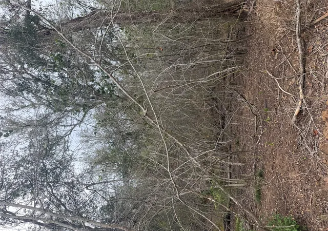 Land for sale at Lots 565 And 566 Mokulua Ln, Bastrop, TX 78602 | MLS# 6996616