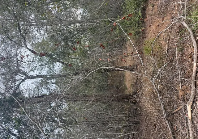 Photo 2 of Land for sale at Lots 565 And 566 Mokulua Ln, Bastrop, TX 78602 | MLS# 6996616 | Listing updated on 2026-09-18