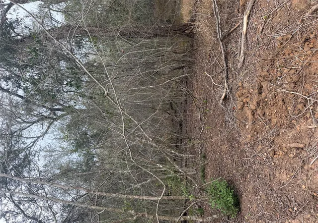 Photo 3 of Land for sale at Lots 565 And 566 Mokulua Ln, Bastrop, TX 78602 | MLS# 6996616 | Listing updated on 2026-09-18
