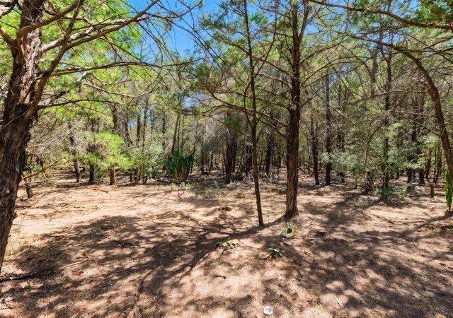 Photo 3 of Land for sale at 12 Acres Mt Pleasant, Cedar Creek, TX 78612 | MLS# 6476026 | Listing updated on 2026-09-25