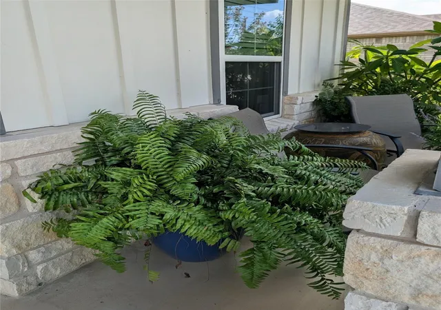 Photo 3 of Single family home for sale at 336 Kitty Hawk Rd, Georgetown, TX 78633 | MLS# 8558826 | Listing updated on 2026-10-12