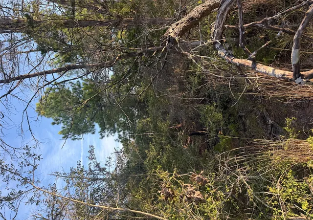 Photo 1 of Land for sale at 142 Helemano Dr, Bastrop, TX 78602 | MLS# 8010911 | Listing updated on 2026-10-02