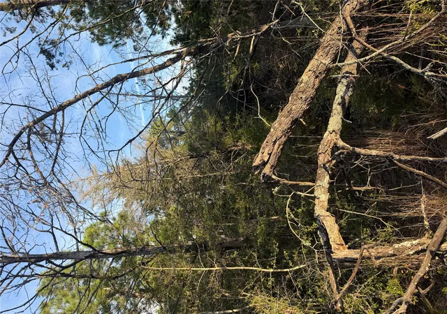 Photo 2 of Land for sale at 142 Helemano Dr, Bastrop, TX 78602 | MLS# 8010911 | Listing updated on 2026-10-02