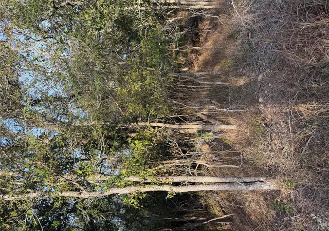 Land for sale at 172 Helemano Dr, Bastrop, TX 78602 | MLS# 1260712