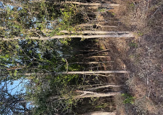 Photo 1 of Land for sale at 172 Helemano Dr, Bastrop, TX 78602 | MLS# 1260712 | Listing updated on 2026-10-02