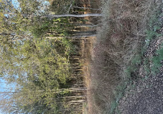 Photo 3 of Land for sale at 172 Helemano Dr, Bastrop, TX 78602 | MLS# 1260712 | Listing updated on 2026-10-02