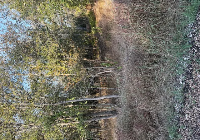 Photo 4 of Land for sale at 172 Helemano Dr, Bastrop, TX 78602 | MLS# 1260712 | Listing updated on 2026-10-02