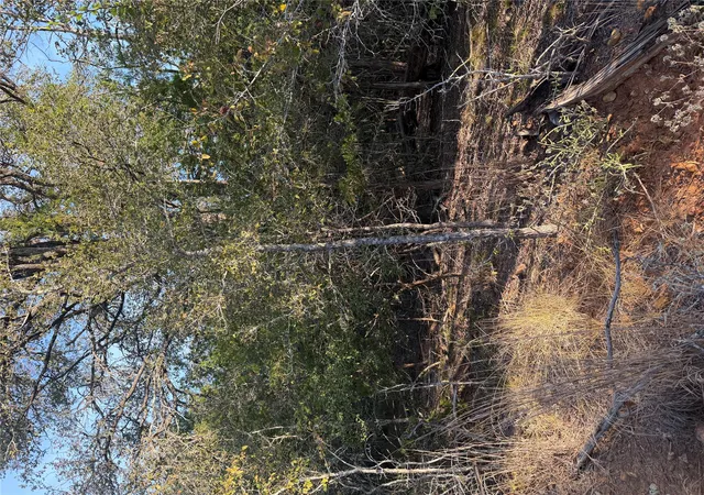 Photo 1 of Land for sale at 160 Helemano Dr, Bastrop, TX 78602 | MLS# 8995575 | Listing updated on 2026-10-02