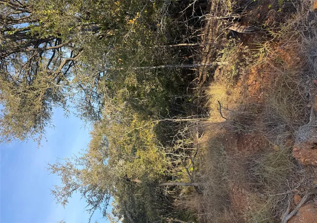 Photo 2 of Land for sale at 160 Helemano Dr, Bastrop, TX 78602 | MLS# 8995575 | Listing updated on 2026-10-02