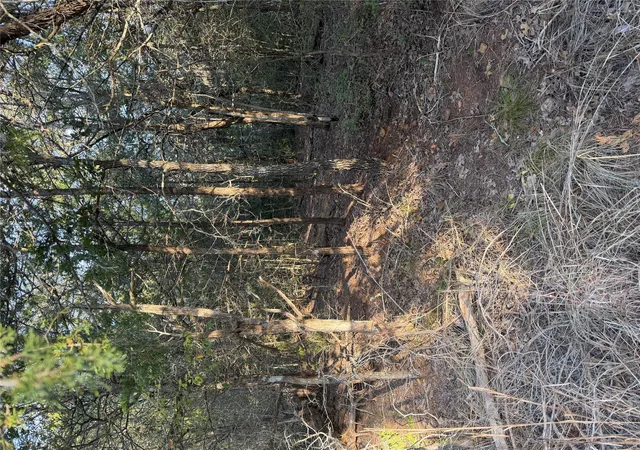 Photo 3 of Land for sale at 160 Helemano Dr, Bastrop, TX 78602 | MLS# 8995575 | Listing updated on 2026-10-02