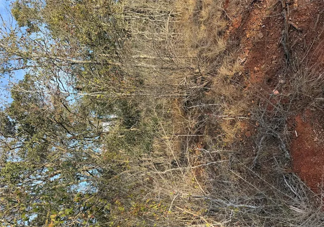 Photo 2 of Land for sale at 156 Helemano Dr, Bastrop, TX 78602 | MLS# 5530079 | Listing updated on 2026-10-02