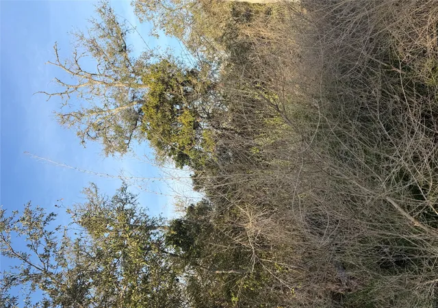 Photo 3 of Land for sale at 156 Helemano Dr, Bastrop, TX 78602 | MLS# 5530079 | Listing updated on 2026-10-02