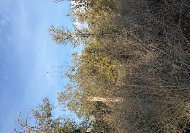 Photo 3 of Land for sale at 156 Helemano Dr, Bastrop, TX 78602 | MLS# 5530079 | Listing updated on 2026-10-02