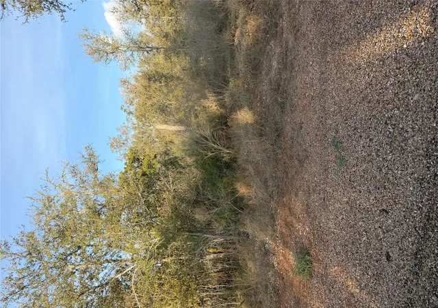 Photo 4 of Land for sale at 156 Helemano Dr, Bastrop, TX 78602 | MLS# 5530079 | Listing updated on 2026-10-02
