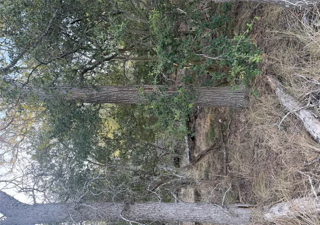 Photo 1 of Land for sale at 159 Helemano Dr, Bastrop, TX 78602 | MLS# 4117120 | Listing updated on 2026-10-02