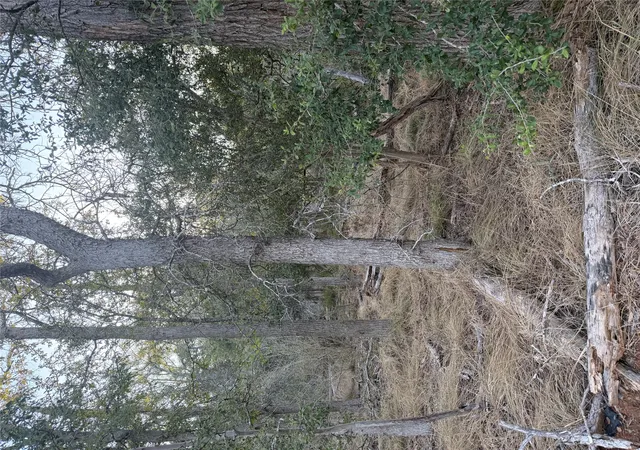 Photo 2 of Land for sale at 159 Helemano Dr, Bastrop, TX 78602 | MLS# 4117120 | Listing updated on 2026-10-02
