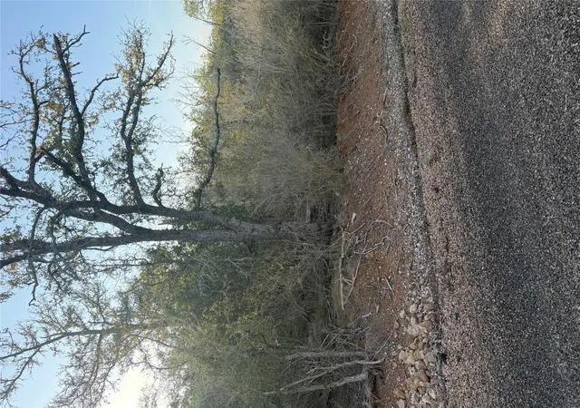 Photo 4 of Land for sale at 159 Helemano Dr, Bastrop, TX 78602 | MLS# 4117120 | Listing updated on 2026-10-02