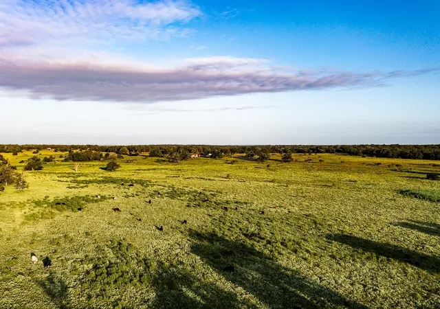 Land for sale at 3087 County Rd 320, Lexington, TX 78947 | MLS# 5385834