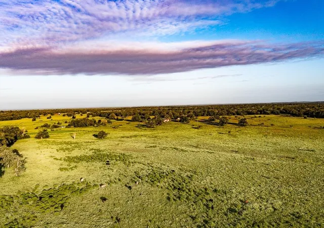 Photo 2 of Land for sale at 3087 County Rd 320, Lexington, TX 78947 | MLS# 5385834 | Listing updated on 2026-09-21