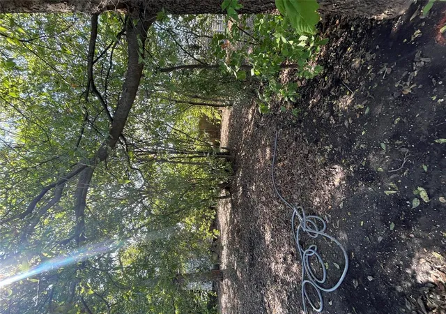 Photo 4 of Land for sale at 2006 Maple Ave #2, Austin, TX 78722 | MLS# 4755194 | Listing updated on 2026-09-24