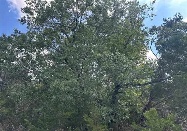 Photo 3 of Land for sale at 74 Deer Ridge Rd, Wimberley, TX 78676 | MLS# 9587217 | Listing updated on 2026-09-23