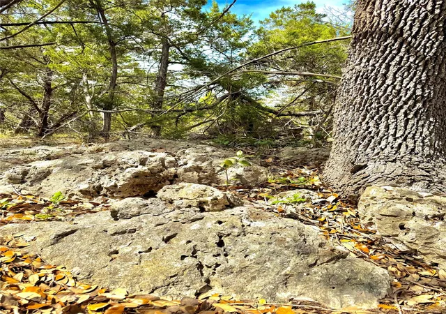Photo 1 of Land for sale at 2519 George Pass, Canyon Lake, TX 78133 | MLS# 1031017 | Listing updated on 2026-09-22