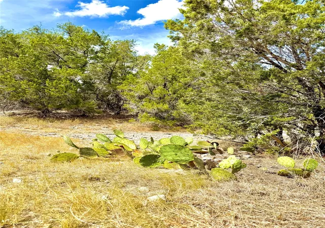 Photo 2 of Land for sale at 2519 George Pass, Canyon Lake, TX 78133 | MLS# 1031017 | Listing updated on 2026-09-22