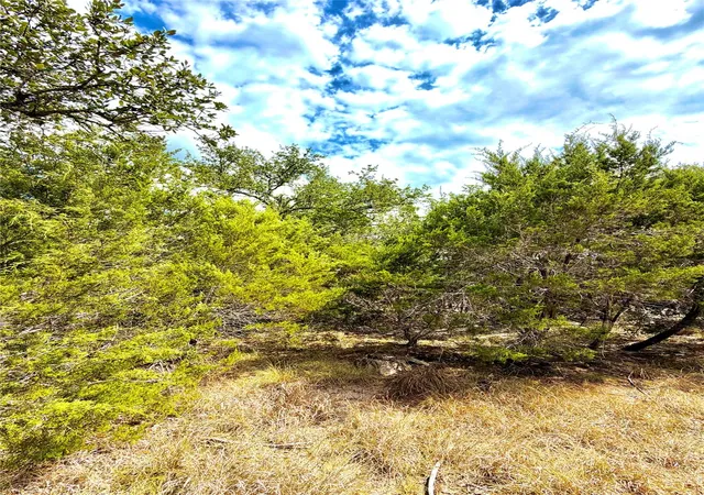 Photo 4 of Land for sale at 2519 George Pass, Canyon Lake, TX 78133 | MLS# 1031017 | Listing updated on 2026-09-22