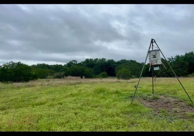 Photo 1 of Land for sale at 0 County Rd 3560, Lampasas, TX 76550 | MLS# 7181195 | Listing updated on 2026-09-24