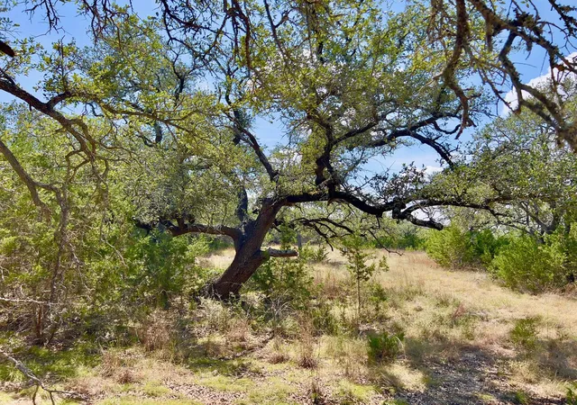 Land for sale at 992 Hines Branch Rd, Blanco, TX 78606 | MLS# 5574606