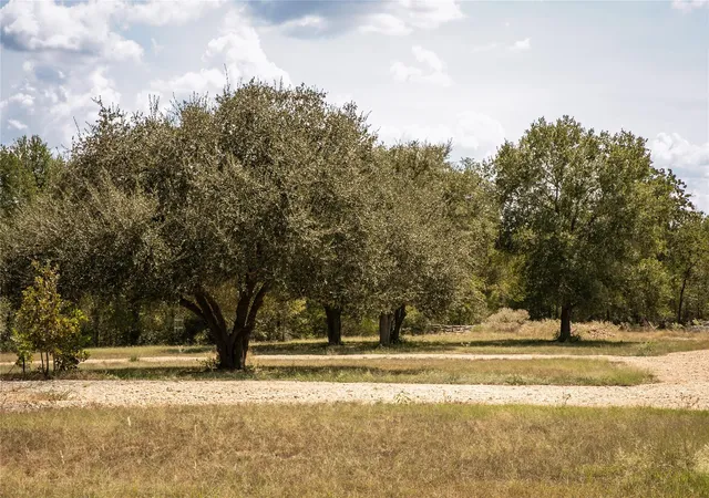 Photo 3 of Land for sale at 5848 Fm180, Ledbetter, TX 78946 | MLS# 9577497 | Listing updated on 2026-09-29