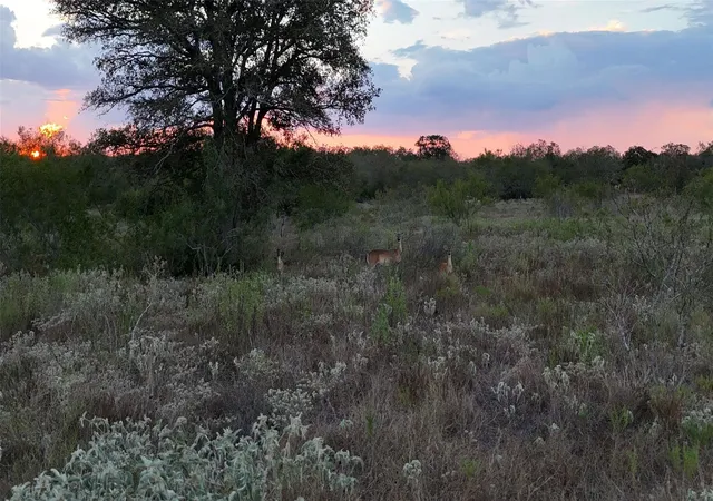 Photo 2 of House for sale at 859 Lakey Rd, Nixon, TX 78140 | MLS# 1799918 | Listing updated on 2026-09-28