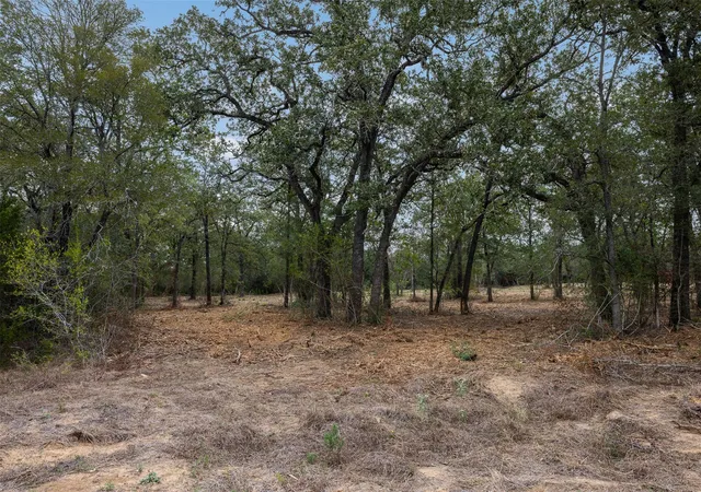Photo 2 of Land for sale at Lot 3 Cr 491, Elgin, TX 78621 | MLS# 6963753 | Listing updated on 2026-09-25