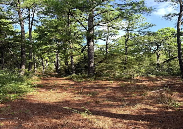Land for sale at Tbd Marlin St, Mc Dade, TX 78650 | MLS# 4971440 | Listing updated on 2026-09-26