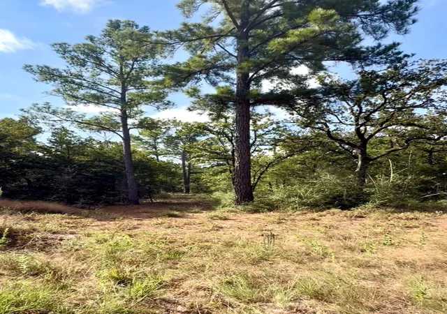 Photo 4 of Land for sale at Tbd Marlin St, Mc Dade, TX 78650 | MLS# 4971440 | Listing updated on 2026-09-26