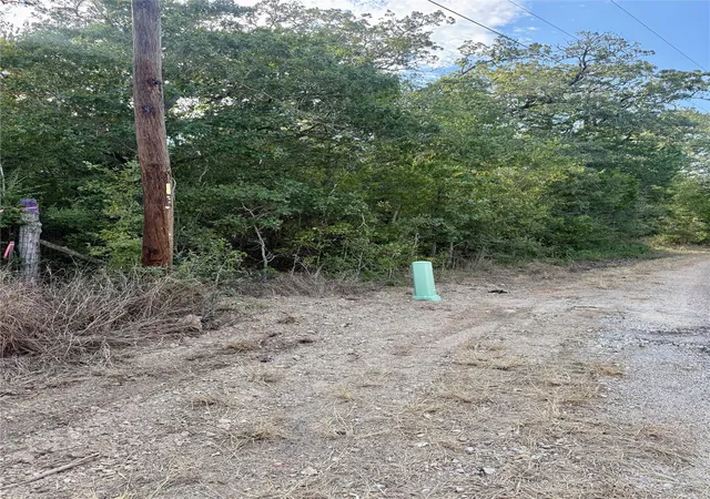 Photo 3 of Land for sale at 314 Green Oaks Dr #Lot 14-B, Bastrop, TX 78602 | MLS# 2577195 | Listing updated on 2026-09-28