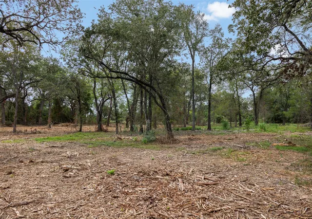 Photo 3 of Land for sale at Lot 1 Cr 491, Elgin, TX 78621 | MLS# 5376580 | Listing updated on 2026-09-24