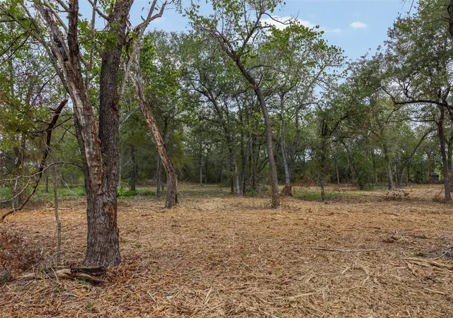 Photo 4 of Land for sale at Lot 1 Cr 491, Elgin, TX 78621 | MLS# 5376580 | Listing updated on 2026-09-24